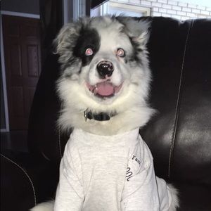 Meet your Posher, Jocelyn